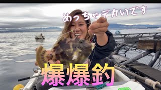 西浦　丸高ボート　手漕ぎでカワハギ釣り