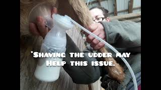 How To Use a HUMAN Breast Pump to Milk a Goat, Step by Step