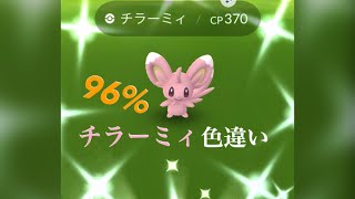 【ポケモンGO】チラーミィ色違い96%ゲットです！