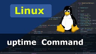 Linux Command - uptime