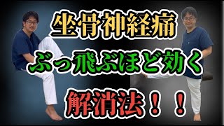 坐骨神経痛【ぶっ飛ぶほど効く解消法】ストレッチとボールマッサージ！脊柱管狭窄症や慢性腰痛にも効きます！