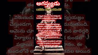 అగస్త్యుడు ఎలా జన్మించాడు? #agastya #maharshi #history #hindu #mahabharat #saint #shorts #shortvideo