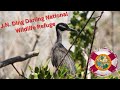 Sanibel Island J.N. Ding Darling National Wildlife Refuge Vlog