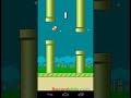 flappy bird new channel stay in tune