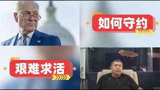 [天天硬事3843期]——01 中方称欢迎美参院民主党领袖将率两党议员代表团访华，如何才能让所谓对华最强硬的美参议员最终能够履约 02 日美防长会谈重申台海和平稳定重要性，日本为何纠结台海问题