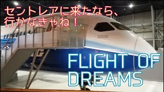 FLIGHT OF DREAMS（セントレア）でボーインググッズを買いました