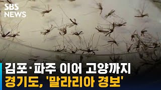 김포 · 파주 이어 고양서도 '말라리아 경보' 발령 / SBS