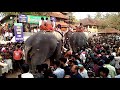 thrissur pooram i thrissur pooram festival