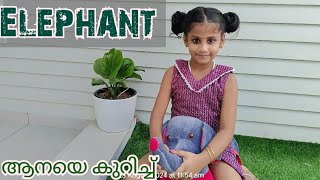 About Elephant || A few sentences about Elephant for kids|| Malayalam || ആനയെ കുറിച്ച്