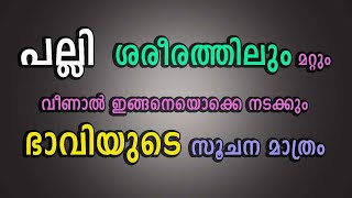 പല്ലി  ശരീരത്തിലും മറ്റും വീണാൽ ഇങ്ങനെയൊക്കെ നടക്കും ഭാവിയുടെ സൂചന മാത്രം abc malayalam one