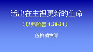 2024年05月19日  - 主日崇拜 -  活出在主裏更新的生命