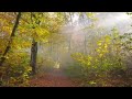 beautiful relaxing music soothing autumn melodies mindful and peaceful piano instrumental music