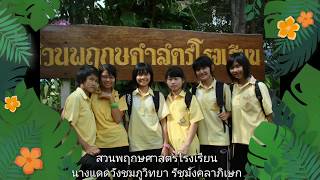 สวนพฤกษศาสตร์โรงเรียน/School Botanic Garden/Hearb/สมุนไพรน่ารู้/โครงงานภาษาอังกฤษ/ครูอุ๊สายเปย์