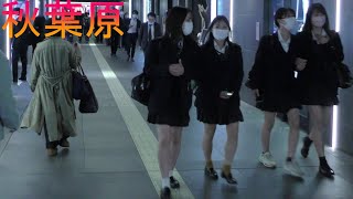 【４Ｋ60fps】ルーティン秋葉原駅周辺をお散歩【晴れ】2021年11月10日