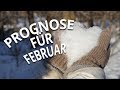 Kai Zorn erklärt: Wetterprognose für Februar 2019