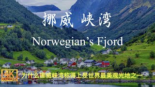 [4K] Norway Fjord 挪威峡湾 此生必去 世界遗产｜Norvege｜Noruega｜النرويج｜مضيق بحري