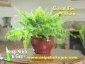 Snip, Stick 'n' Gro - As Seen on TV Network