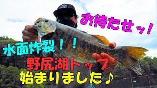 【野尻湖】トップだよ♪全員集合！！虫の季節がやってきた！【レンタルボート】