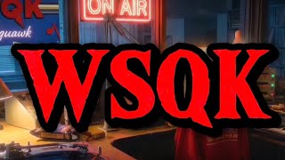 WSQK The Squawk with Mindy Flare | A Stranger Things Radio Station