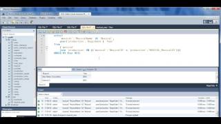 INFO 340 Database Project