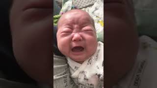 (Bi bu Baby)cry cry愛哭鬼BiBu