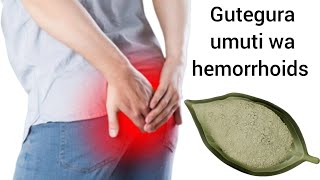 Gutegura umuti wa hemorrhoids (KARIZO.) kutituma. Ibyo kwirindwa mugihe urwwye hemorrhoids