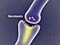 How Do Antidepressants Work ?