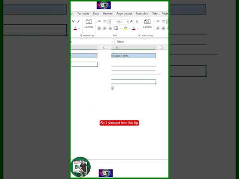 Formularios de formato personalizado en Excel Sanjib Ki Pathshala #exceltips #exceltricks #exceltutorial #msexcel