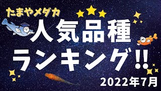 【必見】2022年人気品種ランキング‼たまやメダカオープンからの売れ筋品種の紹介‼