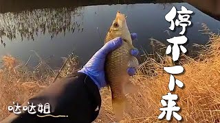 【噠噠姐釣魚】小河連桿大盤雞，根本停不下來 #钓鱼 #机车  #机车女孩 #空军 #户外 #骑行 #野钓