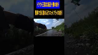 2024.6.7　ウエットフライ絶好調です　めっちゃ簡単で良く釣れます　トラウト王国北海道十勝の釣り＃shorts