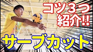 【１人上達!!】バレー選手が１人練習でサーブカットを上達するコツ３つ!!