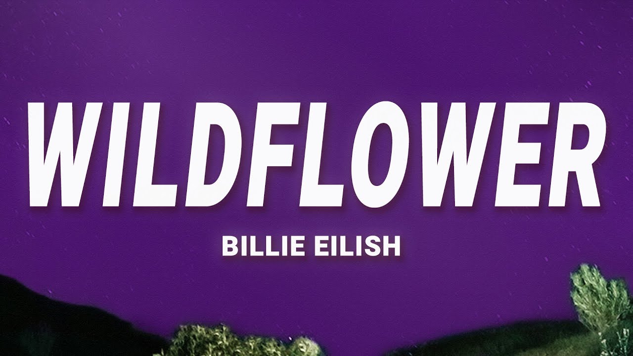 Billie Eilish Wildflower Lyrics Chords Chordify