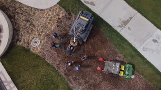 Arbor Day Tree Planting at ArborLinks