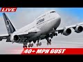 🔴LIVE CROSSWIND LANDINGS AT CHICAGO O'HARE | SIGHTS and SOUNDS of PURE AVIATION | AVGEEK ORD PLANES