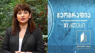 გეოგრაფია XI კლასი - სასურსათო პრობლემები #ტელესკოლა