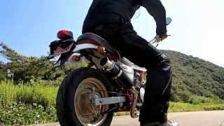 HONDA APE100DX BC-HC07 参考動画