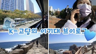 #0046 #컴과고 #고등학교 #현장체험학습  k-고딩의 이기대 현장체험학습 브이로그(부산컴과고)