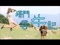 【香港半日遊 – 塔門】Half-Day Trip to TapMun@Hong Kong 【香港半日遊 – 塔門】Half-Day Trip to TapMun@Hong Kong