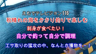 えむでテレビジョン116　秋晴れの海をかかり釣りで楽しむ　刺身が食べたい！　自分で釣って自分で調理　エサ取りの猛攻の中、なんとか獲物を～！「＃かかり釣り」「＃チヌ釣り」