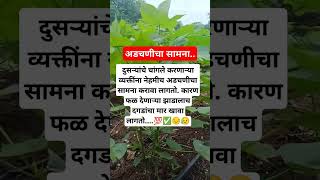 दुसऱ्यांचे चांगले करणाऱ्या व्यक्तींना नेहमीच अडचणीचा सामना करावा लागतो. .💯✅😔😥#motivation #viralshort