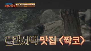 90년대 당시 신선했던 연출! 플래시백 맛집 ＜짝코＞ 방구석1열(movieroom) 100회