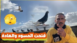 فتحت المسود والعادة الحمام الجديد#التربووابوحازم