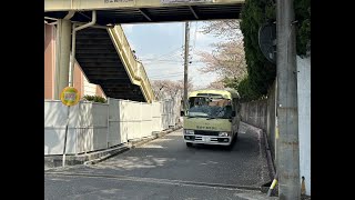 朝の登校風景