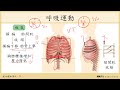 108選生三 3 1 呼吸系統_2呼吸運動