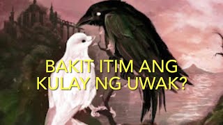 Bakit Itim ang Kulay ng Uwak - TMA TV