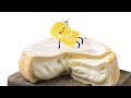 i love cheese official song