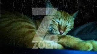 dj slow_not with me (bondan prakoso)_remix by zoen nation2