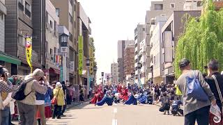 【４K公式】東京花火「ハヰカラ」/かわさき楽大師まつり-表参道②