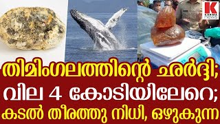 തിമിംഗല ഛര്‍ദ്ദി കടൽ തീരത്തുനിന്ന്;വില 4 കോടിയിലേറെ